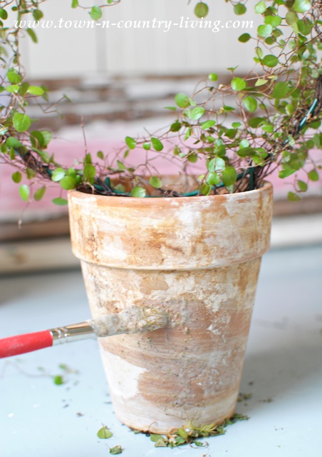 Moss Covered Pots Tutorial