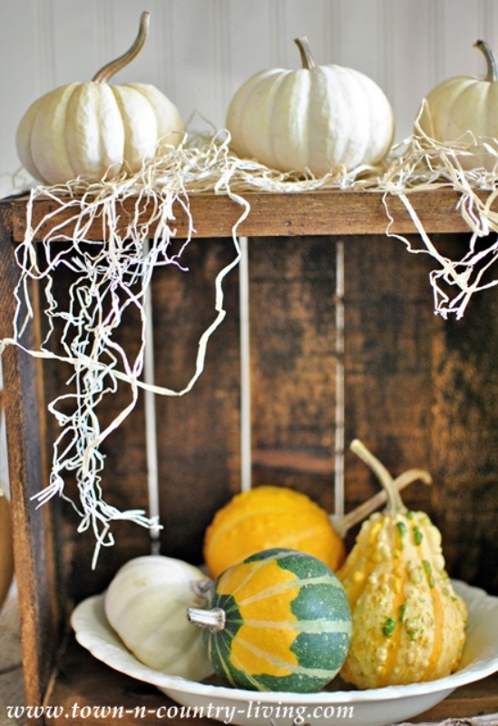 Fall Gourds in a Wooden Crate