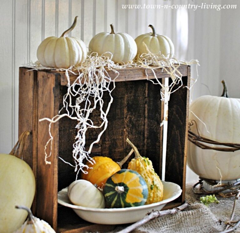 Halloween Decorating in a Jiffy - Town & Country Living