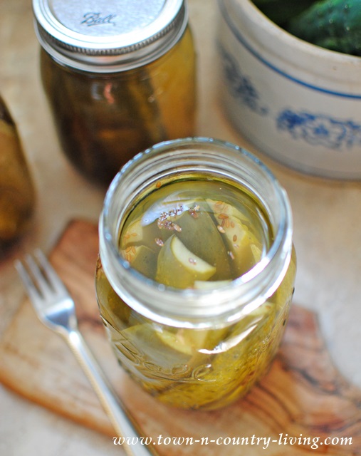 Super Easy Dill Pickles