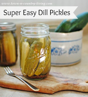 Canning Super Easy Dill Pickles