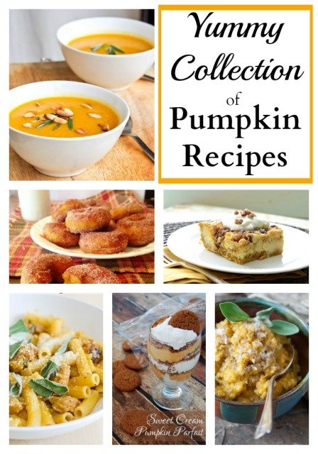 Yummy Collection of Pumpkin Recipes
