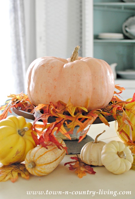 Thanksgiving Centerpiece with Gourds and Leaves
