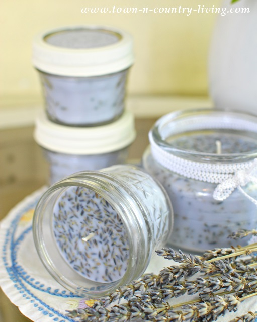 13 DIY Lavender Projects You’ll Love!