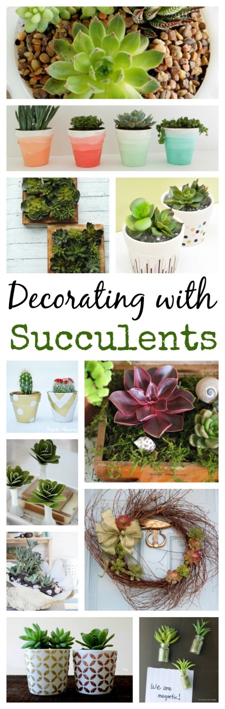 13 Ideas for Decorating with Succulents