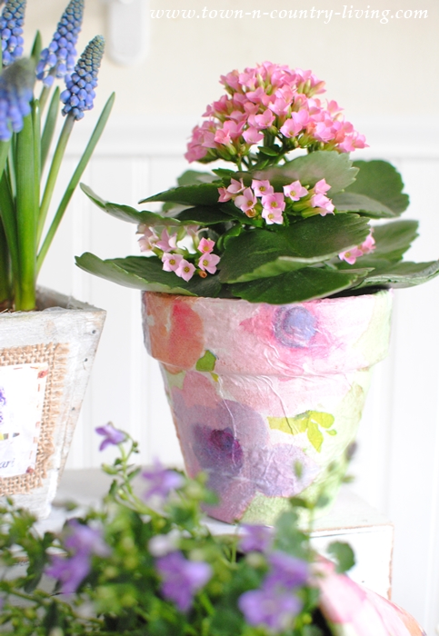Decoupaged Flower Pots. Transforming ordinary clay pots into something special.