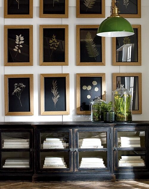Botanical Prints above cupboard