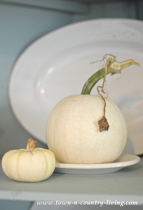 Baby Boos and Mini White Pumpkins Create a Lighter Look for Fall Decorating