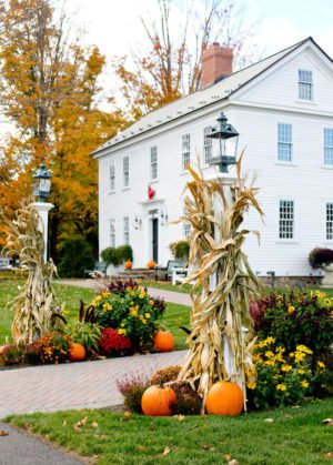 Outdoor Fall Decorating with Mums, Pumpkins, and Corn Stalks