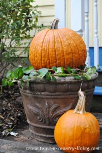 Fun Facts about Pumpkins - Town & Country Living
