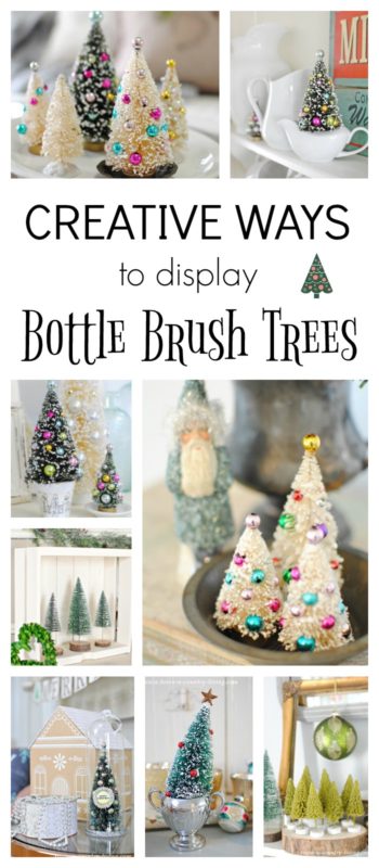Creative Ways to Display Bottle Brush Trees