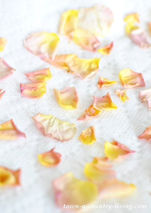 How to Dry Rose Petals in the Microwave