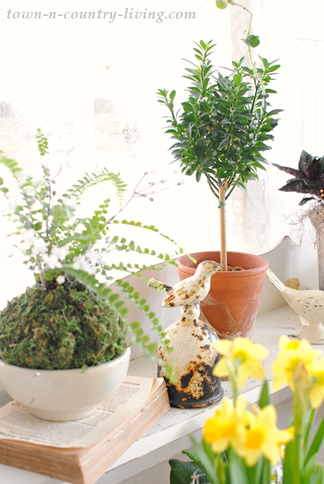 Spruce up your houseplants with creative planters and pots