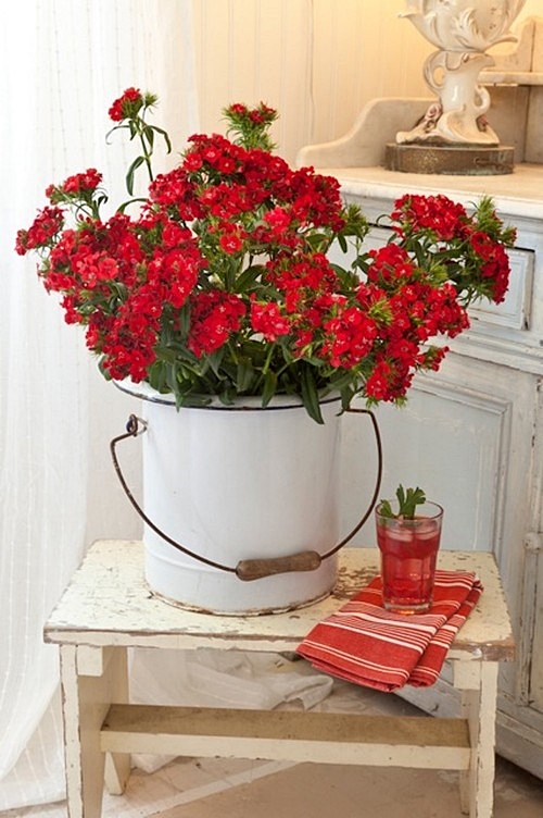 Red Flowers in White Enamelware Bucket