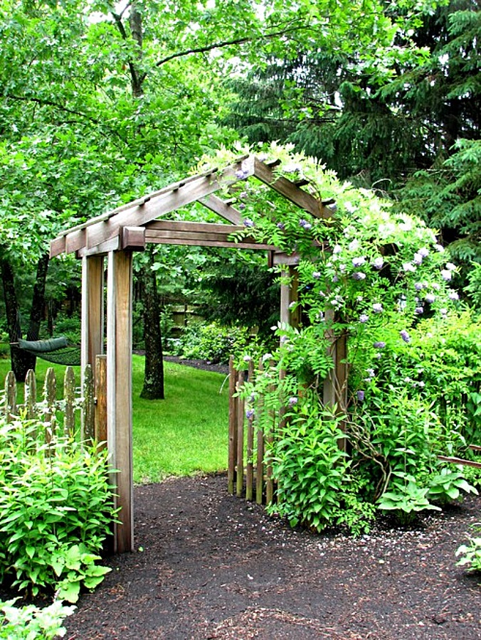 Garden arbor with vine