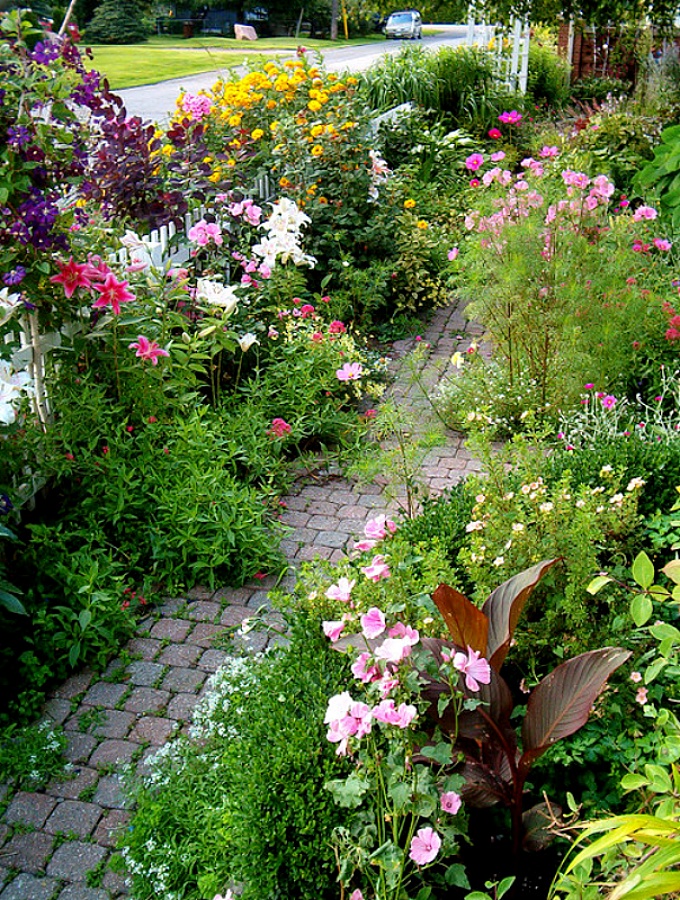 Messy cottage flower garden
