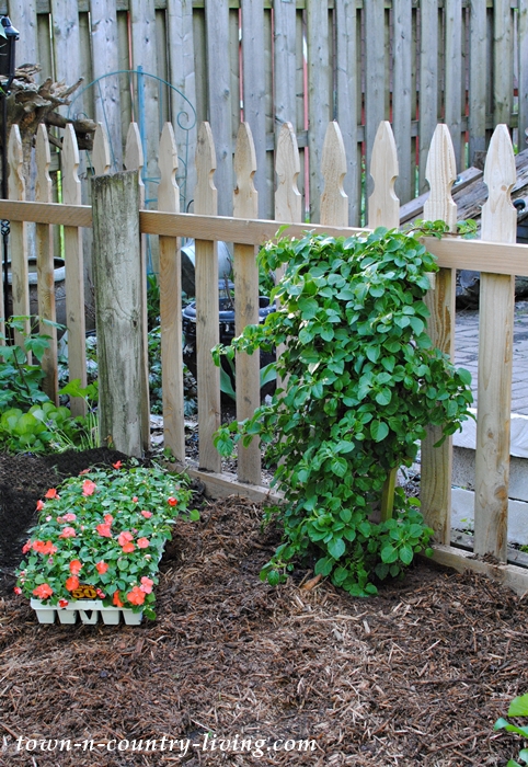 planting tips, gardening tips, flower gardening, soil preparation