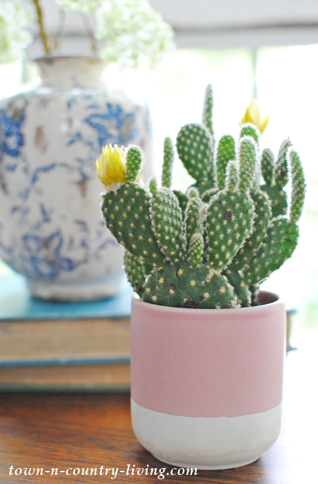 cactus, summer decorating ideas