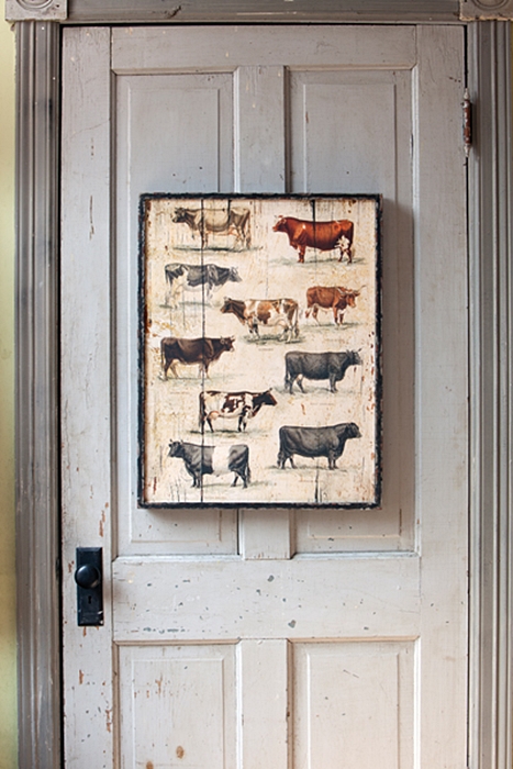 Cow Breeds Farmhouse Wall Decor