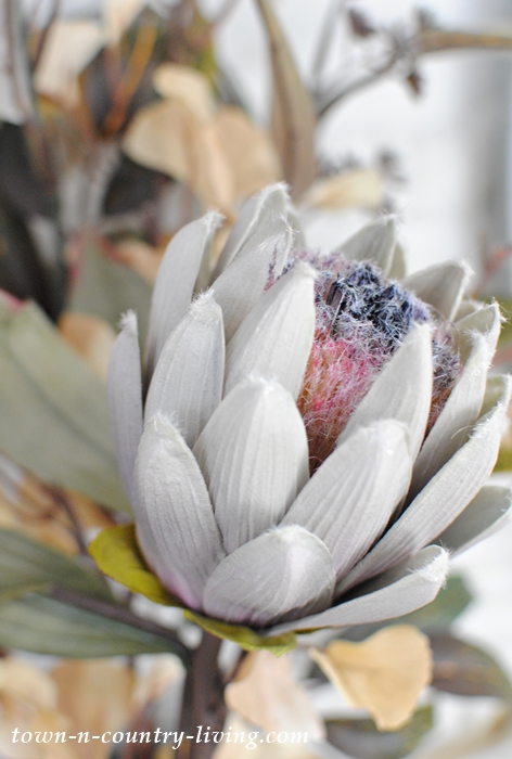 King Protea in a Fall Flower Arrangement