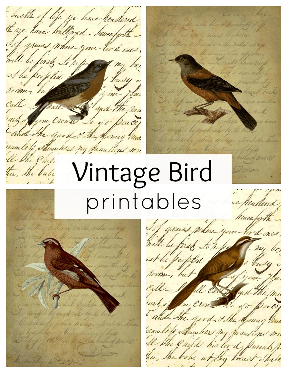 Vintage Bird Printables for Fall Town & Country Living