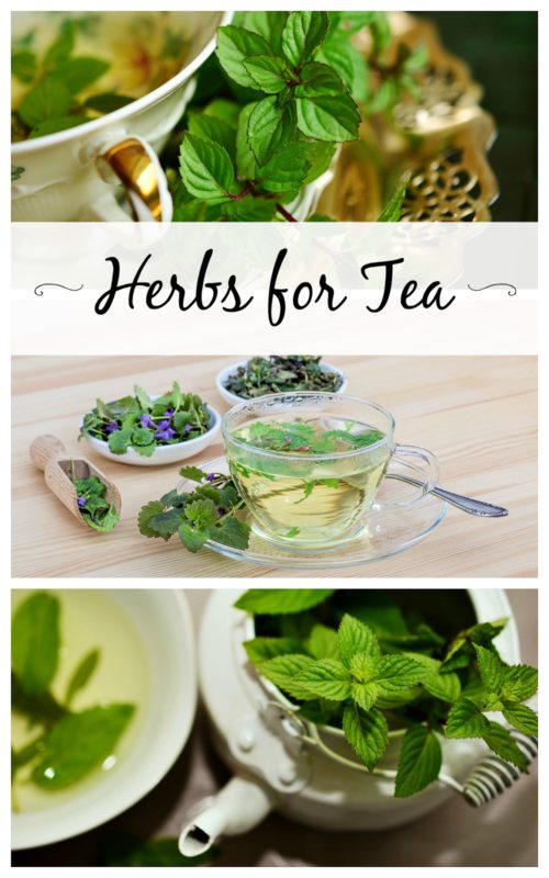 Add herbs to tea for extra flavor