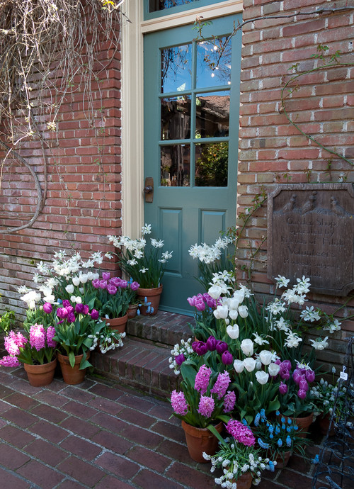 Painted front door with spring bulb containers