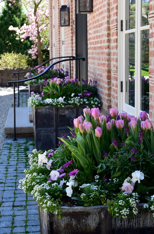 Spring Bulb Gardens to Soothe Your Soul