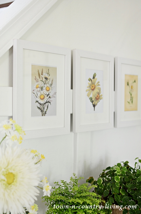 Daisy Printables in White Frames for Summer Decorating