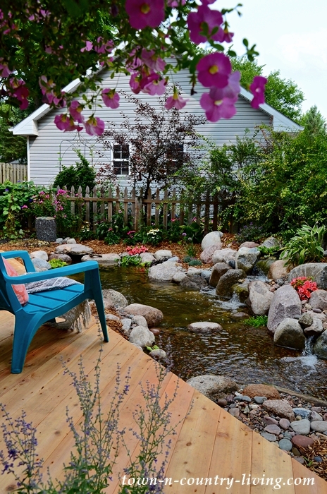 Backyard Garden Pond with Deck