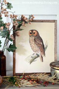 Vintage Owl Printable: Create a Fall Vignette - Town &amp; Country Living