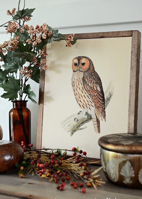 Vintage Owl Printable for Fall Decorating