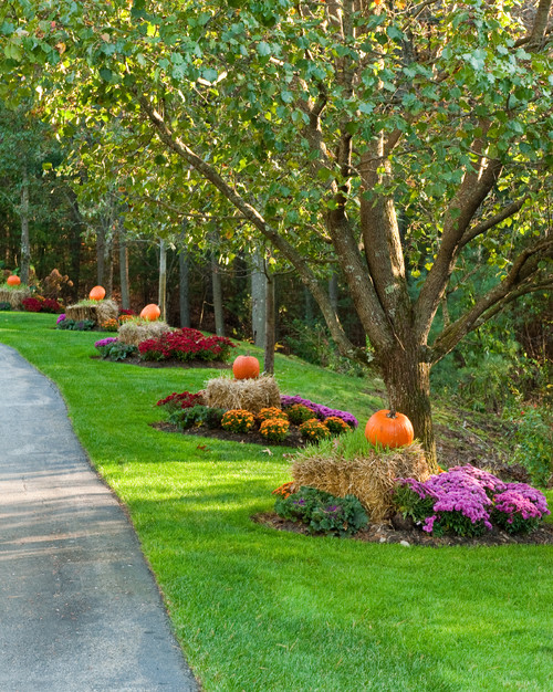 Fall Curb Appeal With Pumpkinums, Country Living Landscape Ideas