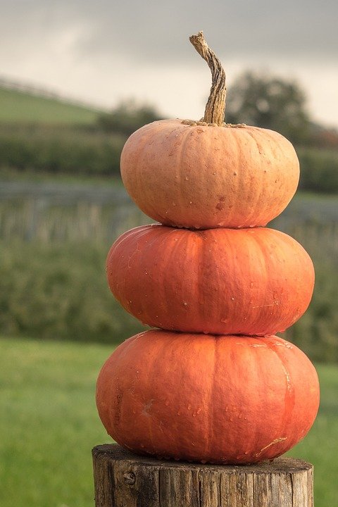 Trio of Stacked Pumpkins