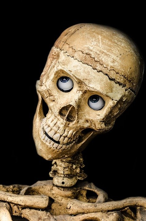 Scary Skeleton Skull