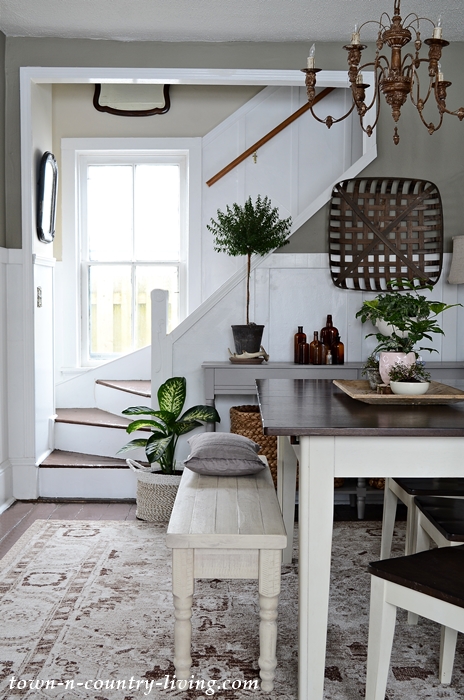 Modern Country Dining Room with Houseplants