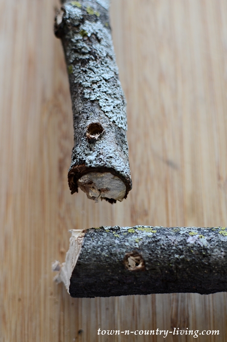Drill holes in ends of branches to create a base for a spring wreath