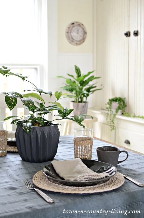 Spring Table Setting in Neutral Tones with Houseplants