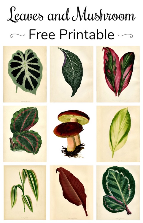 Leaves and Mushroom Printable for Nature Inspired Craft Projects