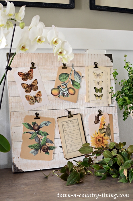 Nature Board with Free Printables