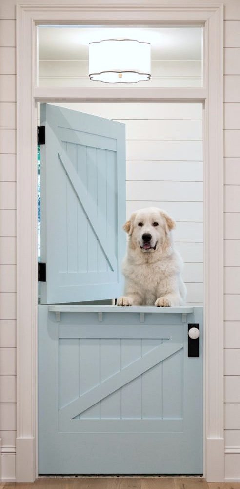 doggy Dutch door