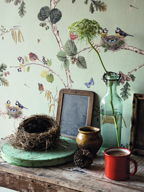 A Touch of Nature for Summer Decorating