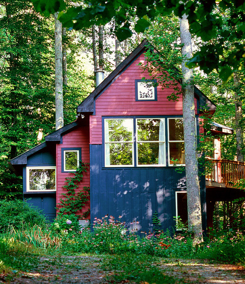 Red and Blue House in the Woods