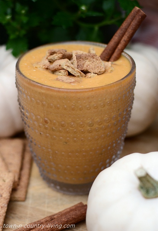 Pumpkin Smoothie Recipe for Fall