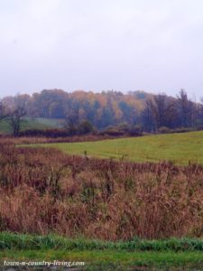 Fall on the Farm in Southwest Michigan - Town & Country Living