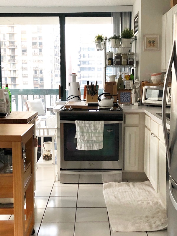 Apartment Kitchen in the Heart of Chicago