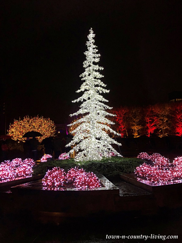 Spirit of Christmas Lightscape at Chicago Botanic Garden