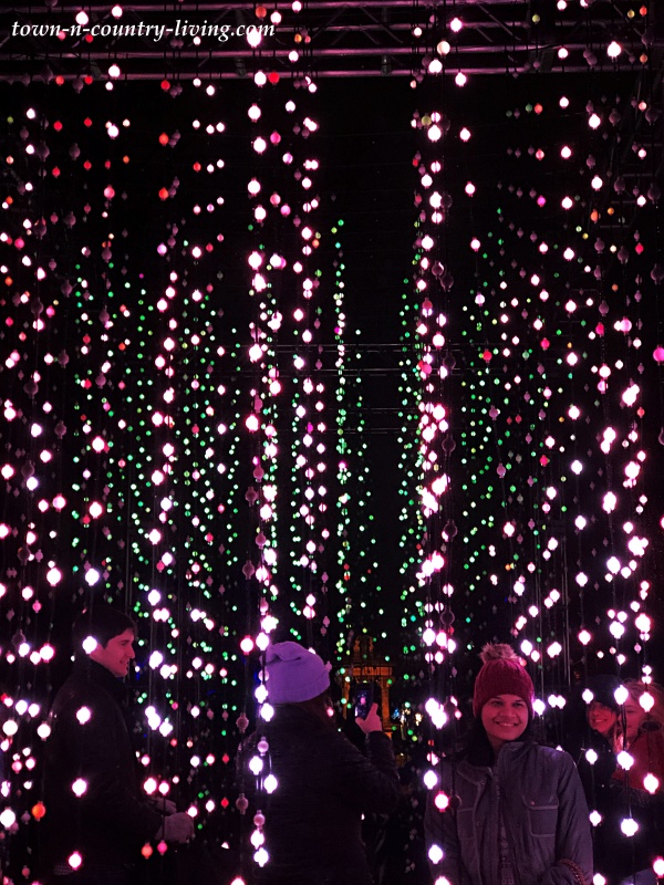 Christmas Lightscape at the Chicago Botanic Garden