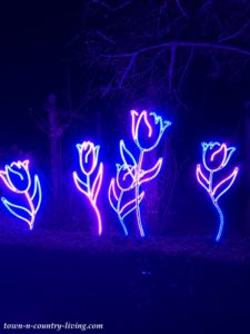 Spirit of Christmas Lightscape at Chicago Botanic Garden - Town ...