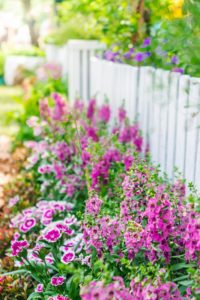 Cottage Garden: The Beauty of Messy Flowers - Town & Country Living